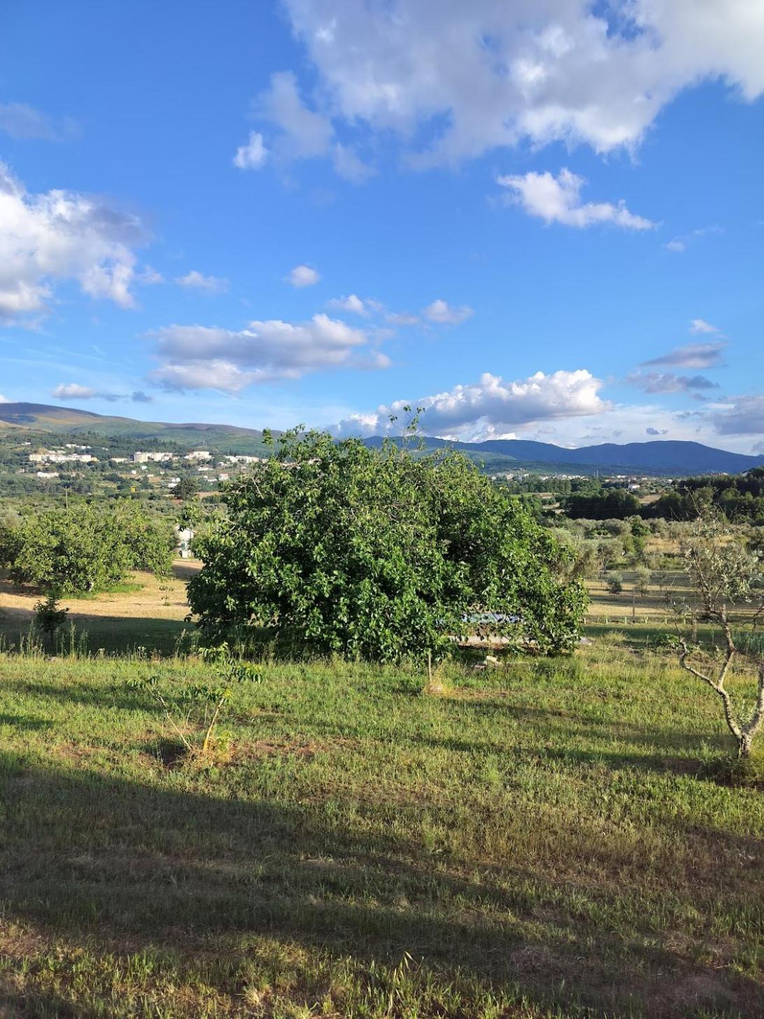 Arpuro Villa Gouveia  Exteriör bild
